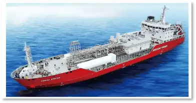 Cargo Handling System  Integrated Functionalities