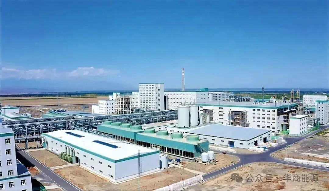 The image shows the Cathay (Wusu) plant: the world's first industrial-scale bio-based pentanediamine and bio-based polyamide plant. The image shows the Cathay (Wusu) plant: the world's first industrial-scale bio-based pentanediamine and bio-based polyamide plant.