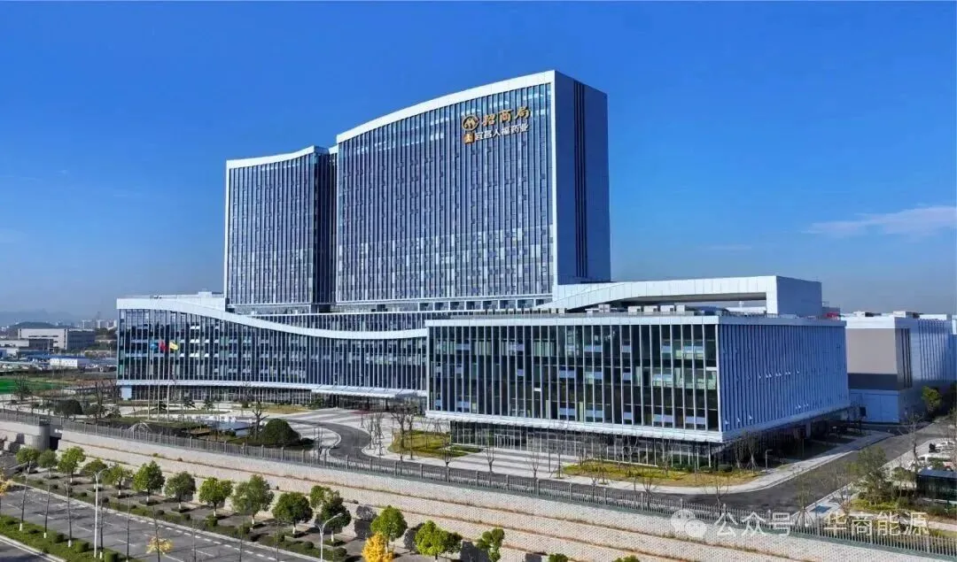 Restructuring and Controlling the Controlling Company, Humanwell Healthcare