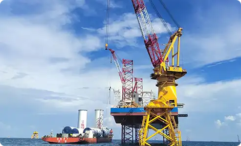 Why Choose Leg Encircling Crane with Dual Hook Design