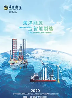 2020 ESG Report
