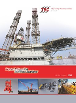 Interim Report 2012