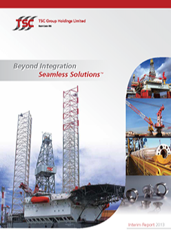 Interim Report 2013